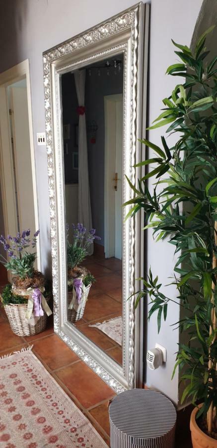 Apartman Felice Starigrad Paklenica Dış mekan fotoğraf
